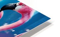 Flamingo Garden HD Metal print