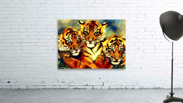 Tigers Trio Wall Preview