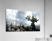 Jumping Cactus  Acrylic Print