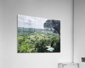 Orvieto Acrylic Print