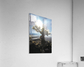 Skyline Acrylic Print