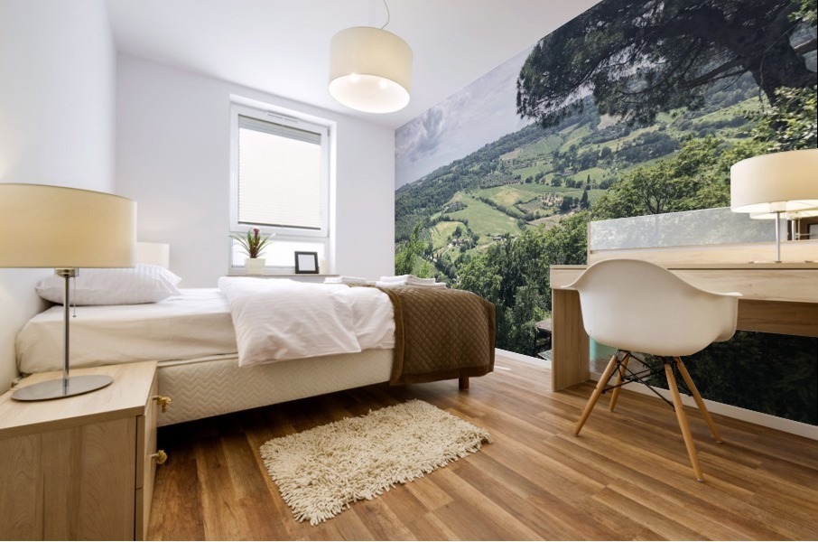 Orvieto Mural print