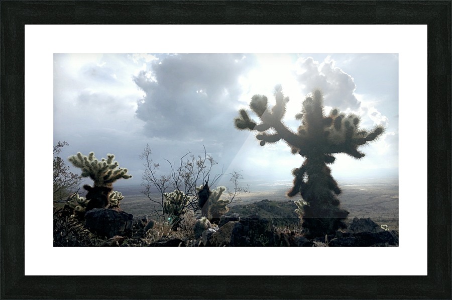 Jumping Cactus  Picture Frame print