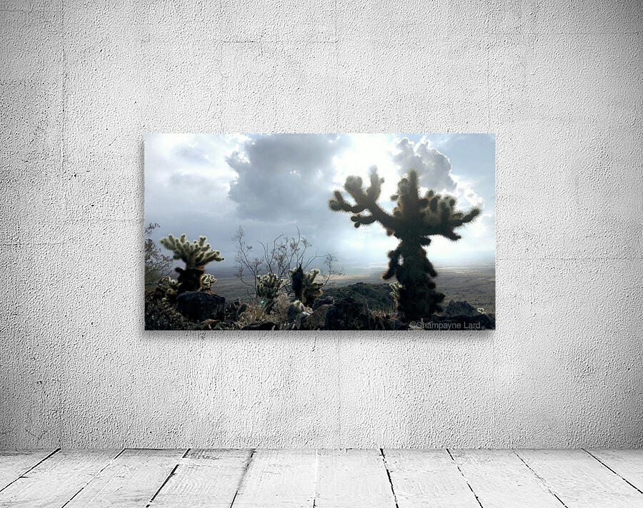 Jumping Cactus  Wall Preview