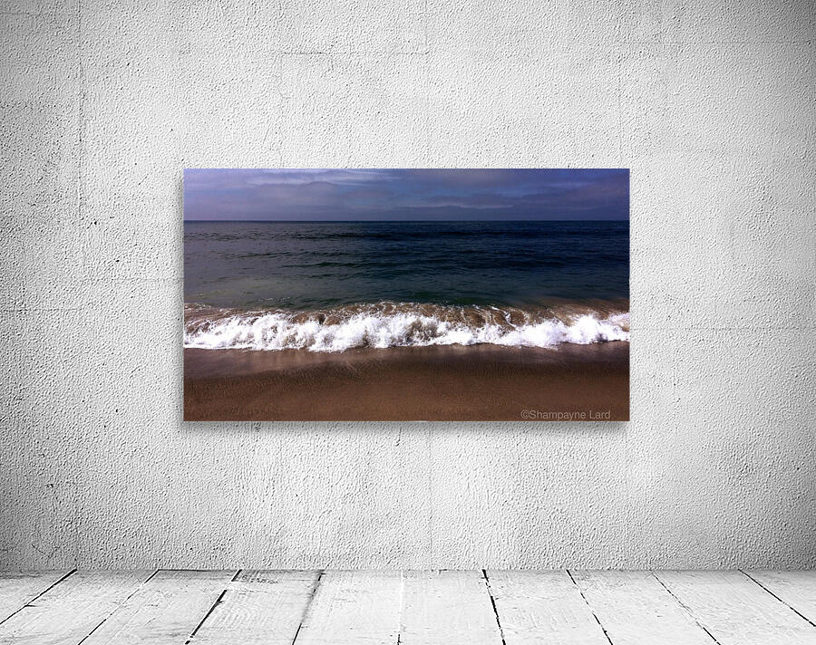 Venice Beach Wall Preview
