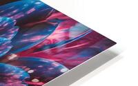 mesmerizing blooming flower HD Metal print