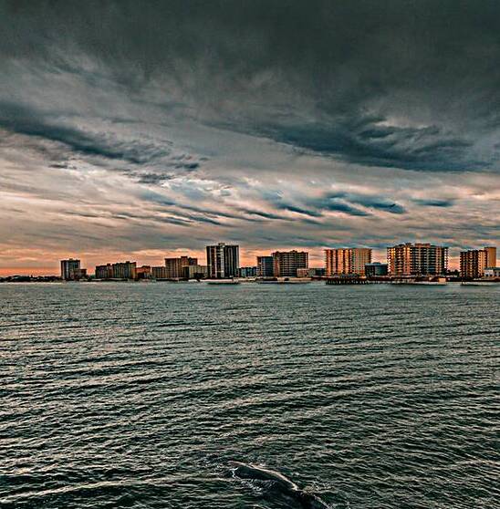 Daytona Beach Whales by Jim Brody