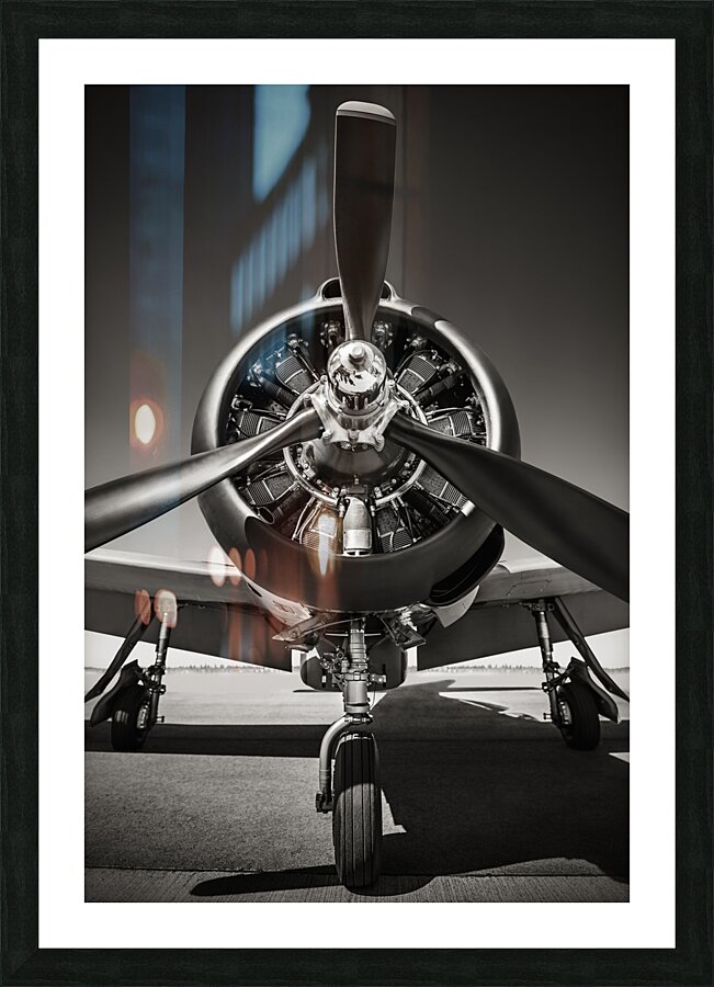 t28 trojan Picture Frame print
