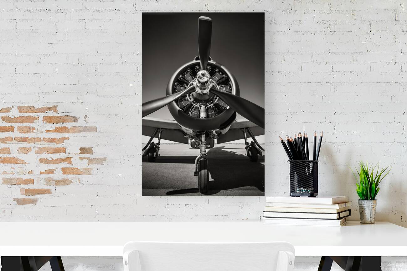 t28 trojan Reproduction