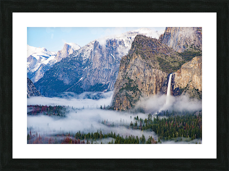 DSC 4209 Picture Frame print