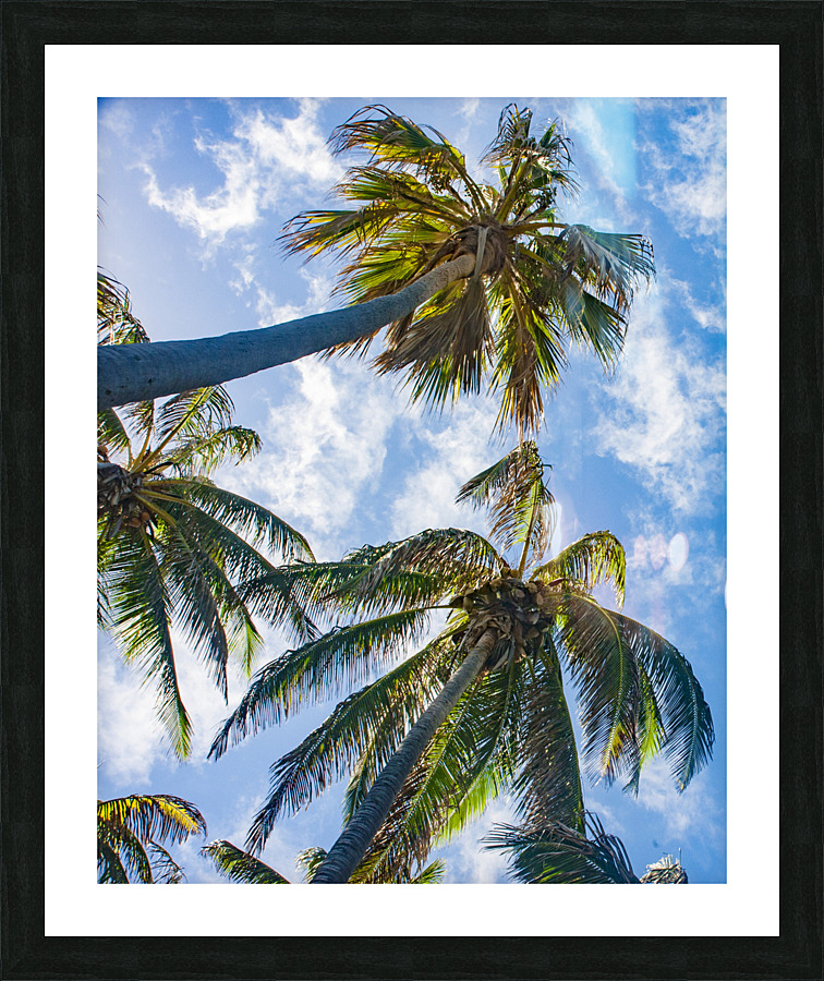  DSC8584 Picture Frame print