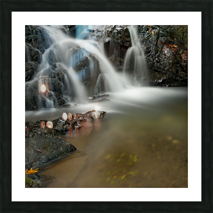  DSC1379 Picture Frame print