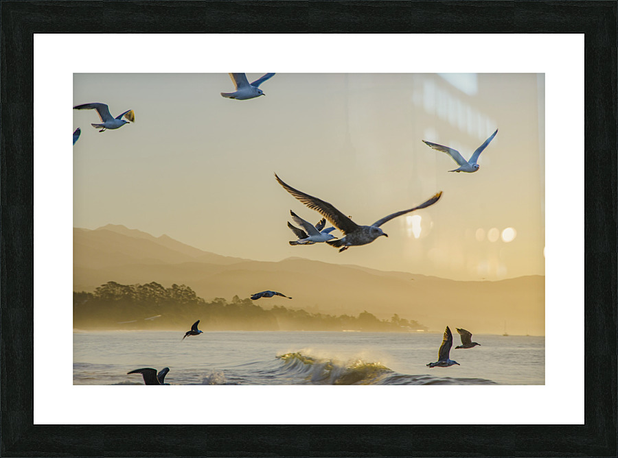  DSC1817 Picture Frame print