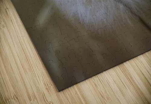 DSC 5495 Serv Goyal puzzle