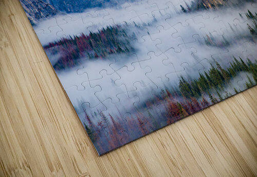 DSC 4209 Serv Goyal puzzle