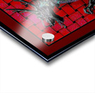 WOOVEN  DRAGON   Acrylic print