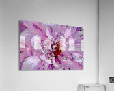  PEONY 002 Acrylic Print