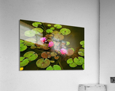 IMG 5481A3 Acrylic Print