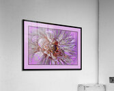 PEONY 003 Acrylic Print