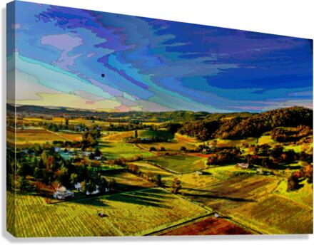  CALIFORNIA VINEYARDS 03 Canvas Print