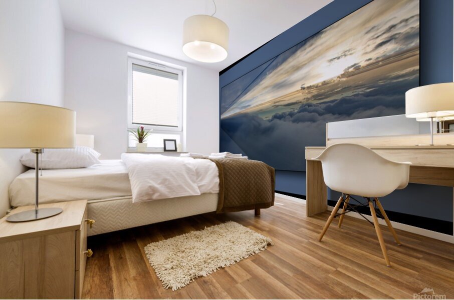 VISTA 04 Mural print