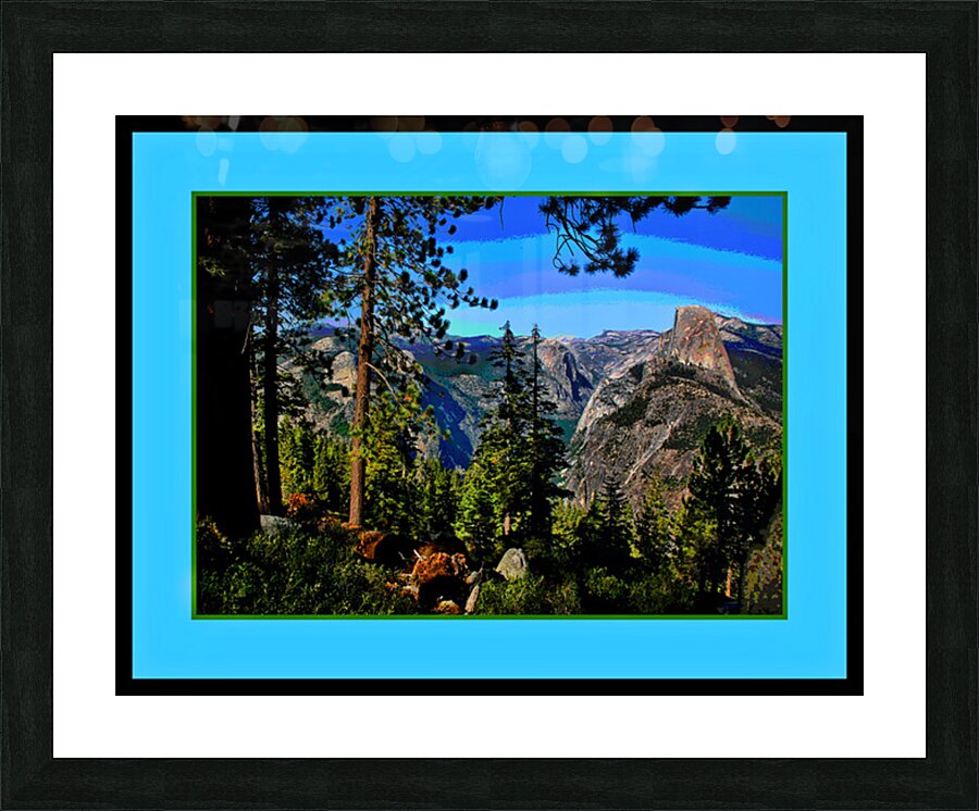 IMG 5308A4 Picture Frame print