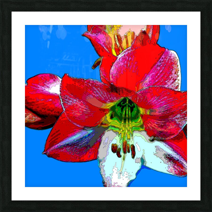 AMARYLLIS Picture Frame print