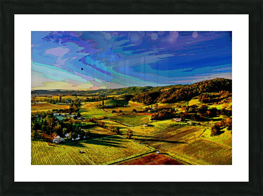  CALIFORNIA VINEYARDS 03 Picture Frame print