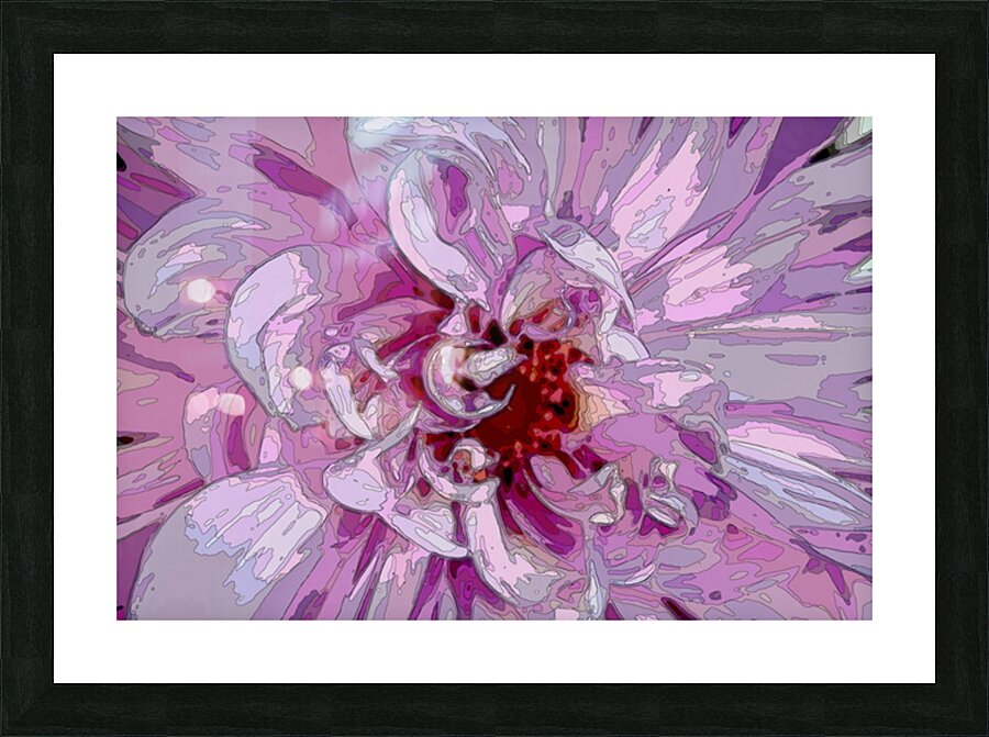  PEONY 002 Picture Frame print