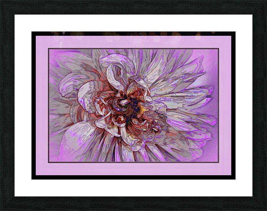 PEONY 003 Picture Frame print