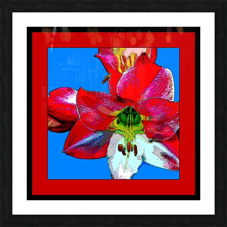 AMARYLLIS 002 Picture Frame print