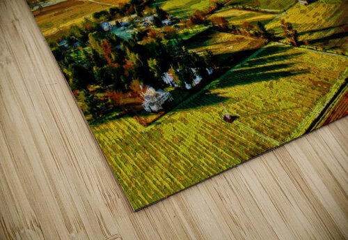  CALIFORNIA VINEYARDS 03 LES MAYERS  puzzle