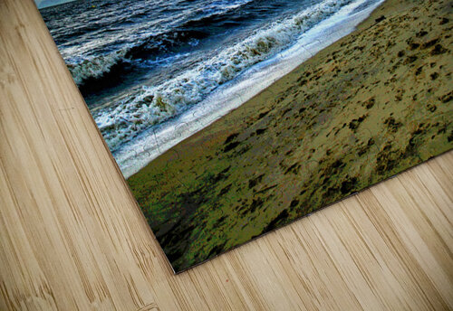 THE BEACH AT CAIRNS AUSTRAILIA LES MAYERS  puzzle