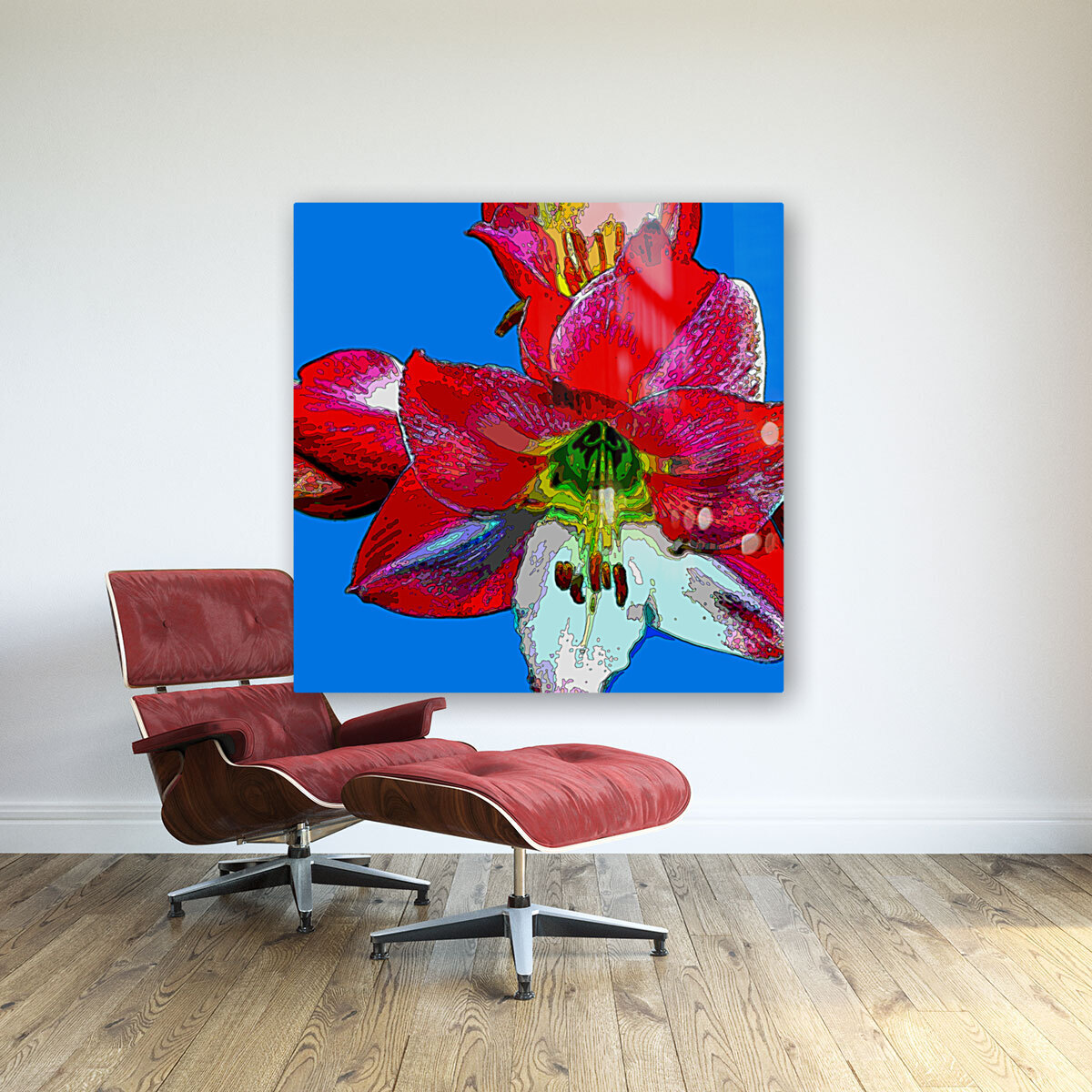 AMARYLLIS Reproduction
