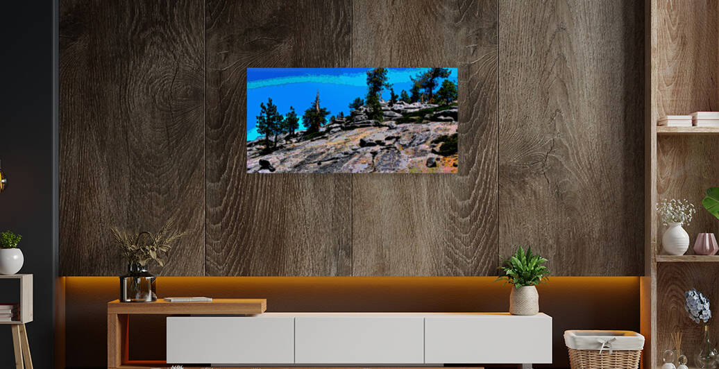 LANDSCAPES COLLECTION - YOSEMITE NATIONAL PARK - GRANITE BEDROCK by LES MAYERS 