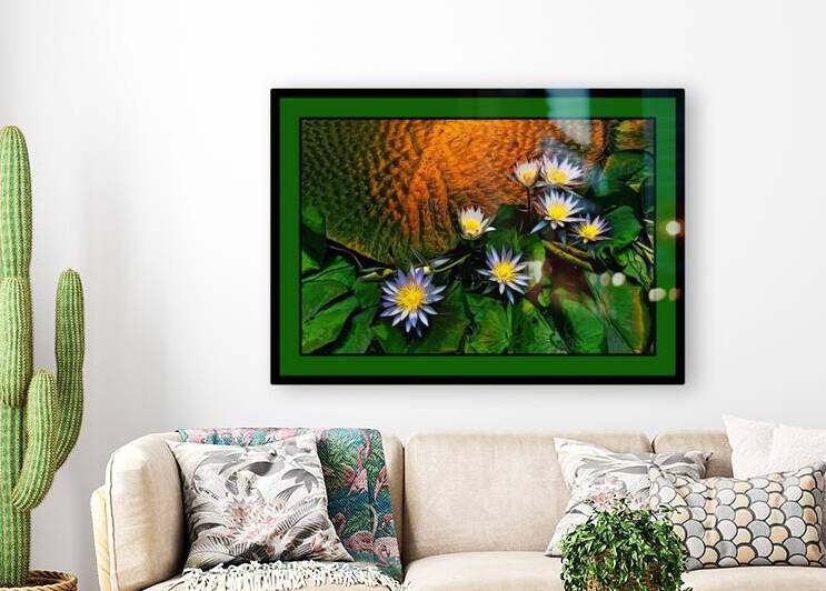 WATER LILIES WITH GIANT LEAF PAD   by LES MAYERS 