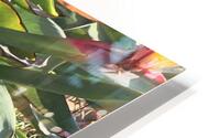 IMG 4005 HD Metal print