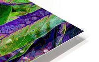 PASSION FLOWERS  HD Metal print