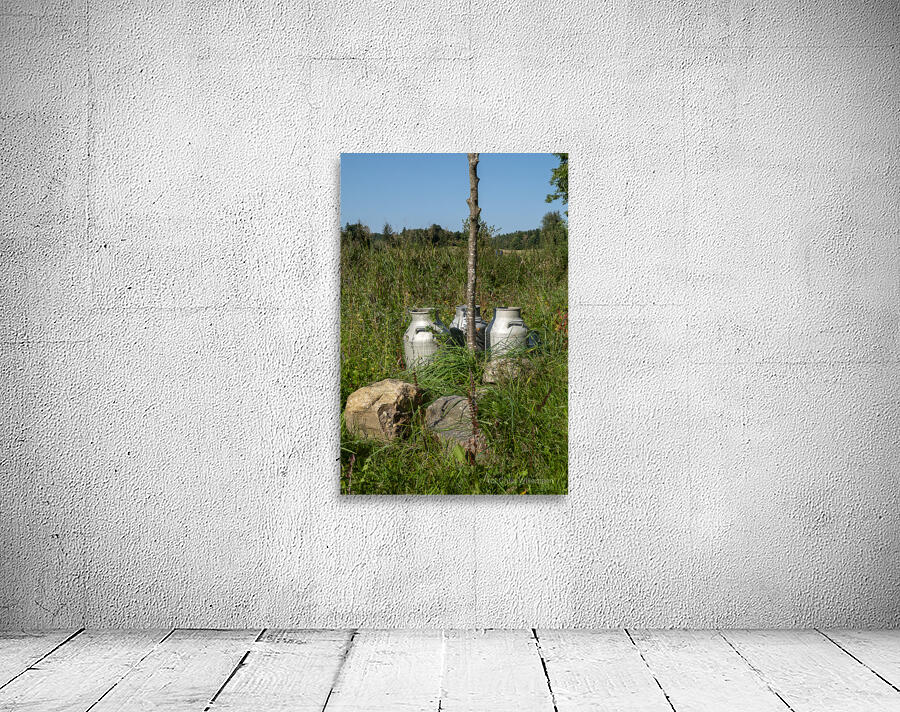 Vintage Milk Jugs in a Scenic Countryside Landscape Wall Preview