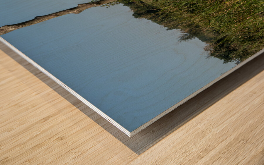 Vintage Milk Jugs in a Scenic Countryside Landscape Wood print