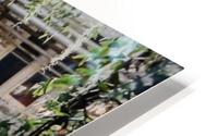 IMG 9428 HD Metal print