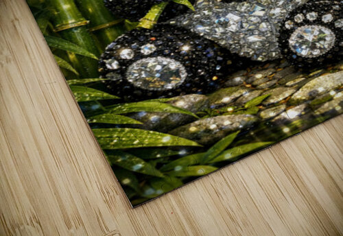 Bamboo Panda CreativeMuse puzzle