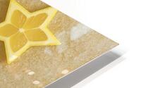 Citrus Charm  HD Metal print