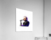 Marty Stuart 5 Acrylic Print