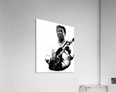 Muddy Waters 8 Acrylic Print