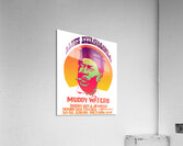 Muddy Waters 9 Acrylic Print