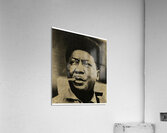 Muddy Waters 19 Acrylic Print