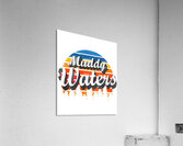 Muddy Waters 20 Acrylic Print