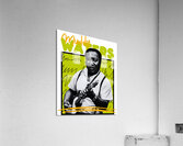 Muddy Waters 26 Acrylic Print