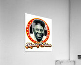 Muddy Waters 34 Acrylic Print